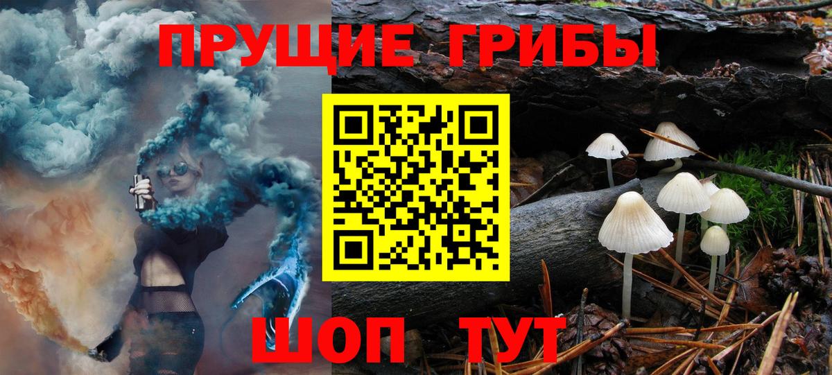 Ирбит  продажа наркотиков  Вход с VPN  Псилоцибиновые грибы Psilocybe 